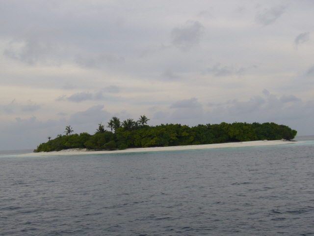 maldives%20044.jpg