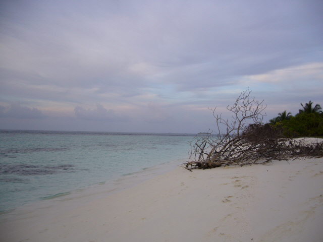 maldives%20069.jpg