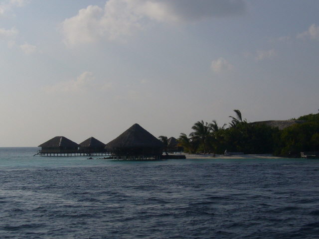 maldives%20124.jpg