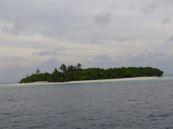 maldives 044.jpg