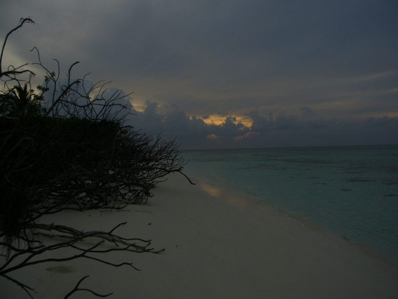 maldives 060.jpg