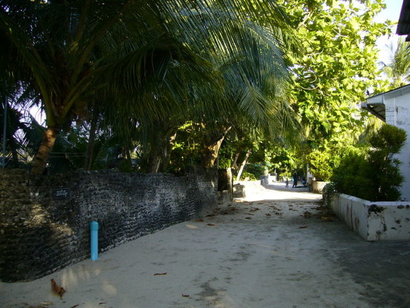 maldives 087.jpg