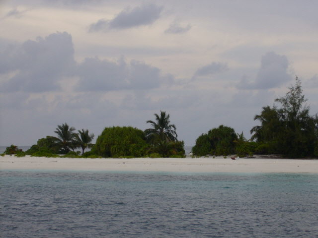 maldives%20053.jpg