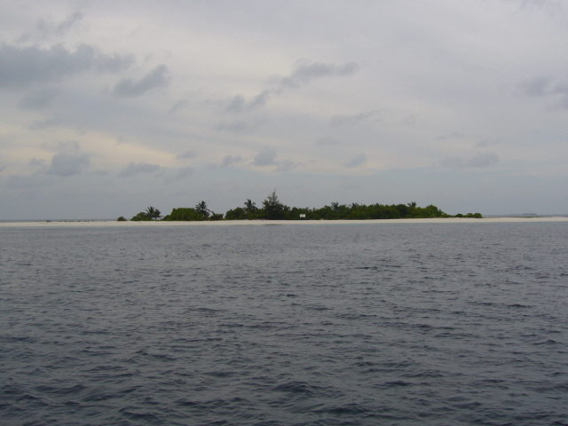 maldives%20049.jpg