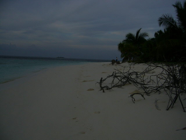 maldives%20059.jpg