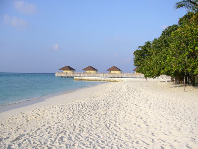 maldives%20101.jpg