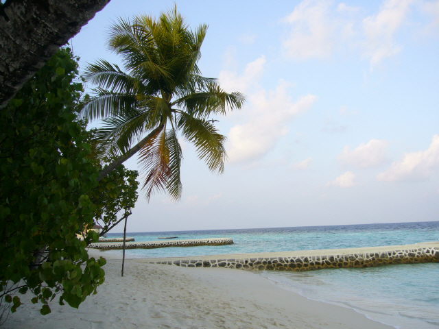 maldives%20105.jpg