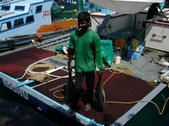 maldives%20149.jpg